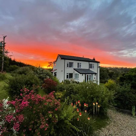 Country Home With Gardens Newtown  Extérieur photo