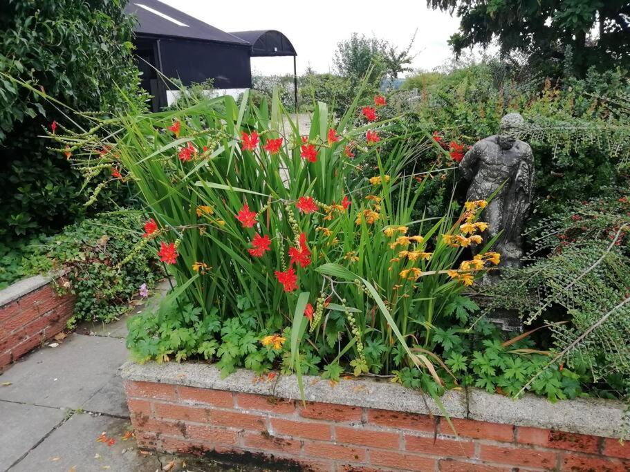 Country Home With Gardens Newtown  Extérieur photo