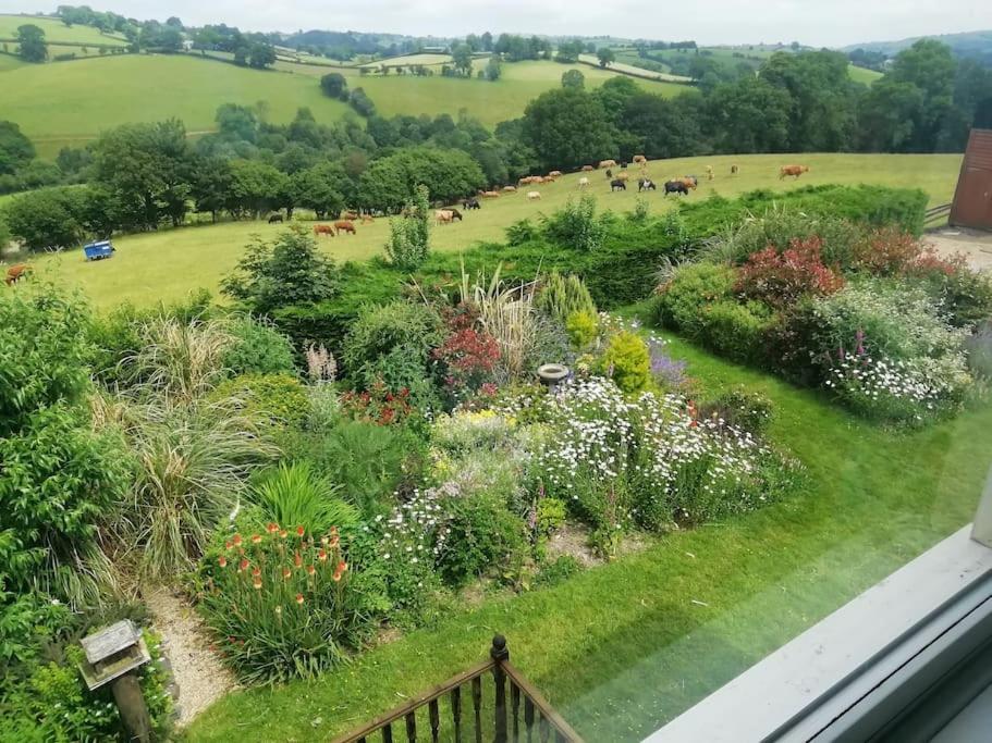 Country Home With Gardens Newtown  Extérieur photo